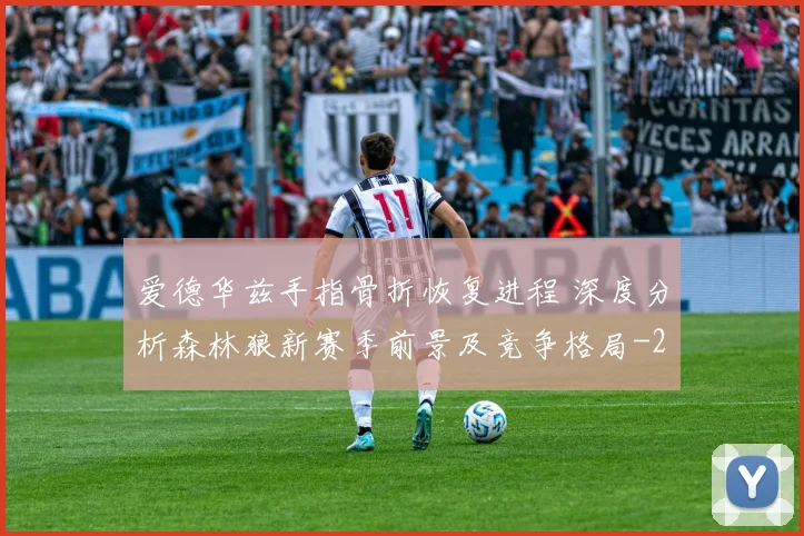 爱德华兹手指骨折恢复进程 深度分析森林狼新赛季前景及竞争格局
