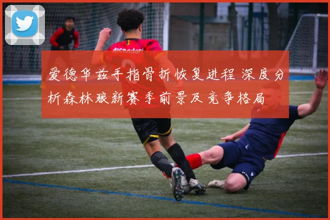 爱德华兹手指骨折恢复进程 深度分析森林狼新赛季前景及竞争格局