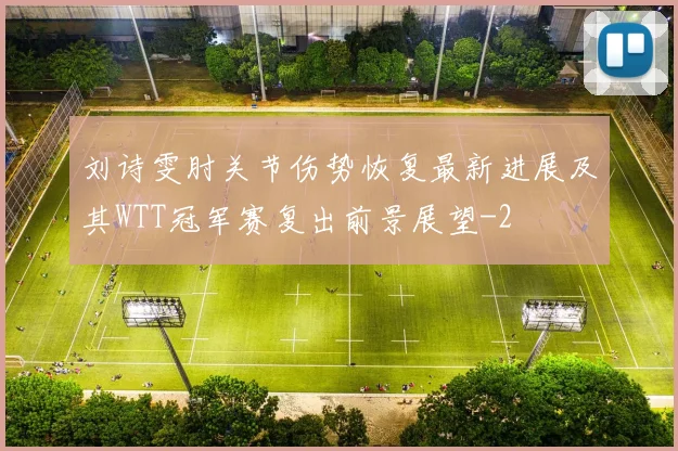 刘诗雯肘关节伤势恢复最新进展及其WTT冠军赛复出前景展望